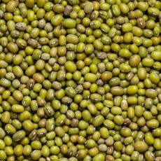 Agricultural Waste Recycling