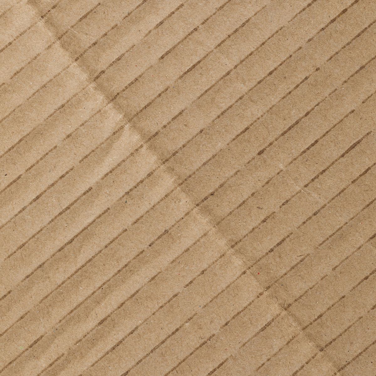 Cardboard Waste Management
